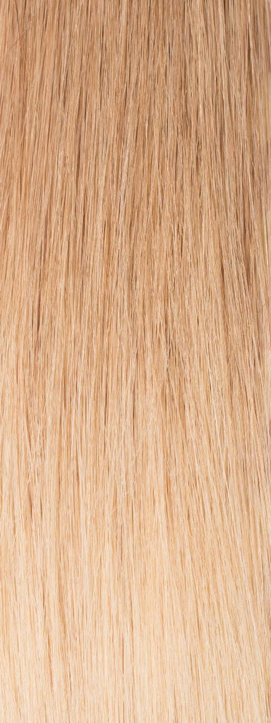 #18/22 Ombré   |   Hand-Tied Weft Extensions