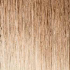 #8/613 Ombré   |   Hand-Tied Weft Extensions