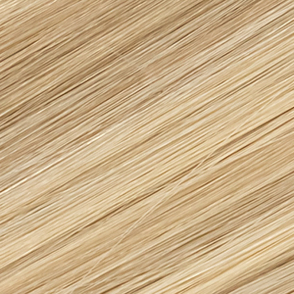 #R8/D8/613    |   Hand-Tied Weft Extensions